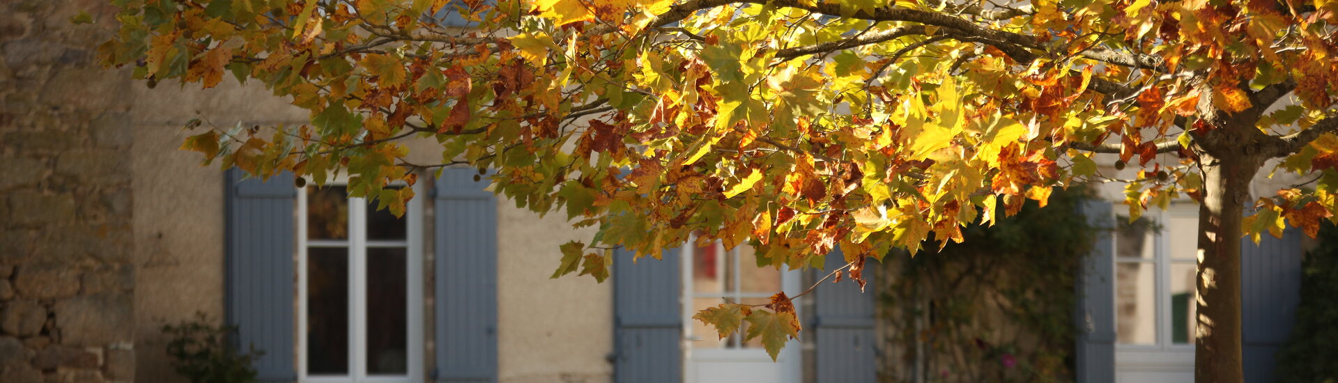 Mairie de Saint Yreix Sous Aixe dans le 87