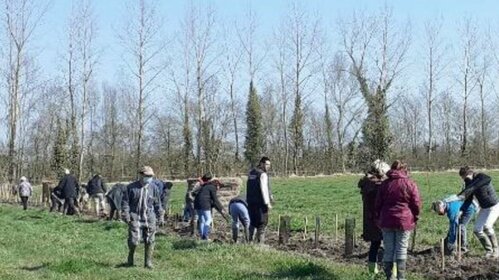 Plantation arbustes-haies-vergers 