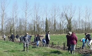 Plantation arbustes-haies-vergers 