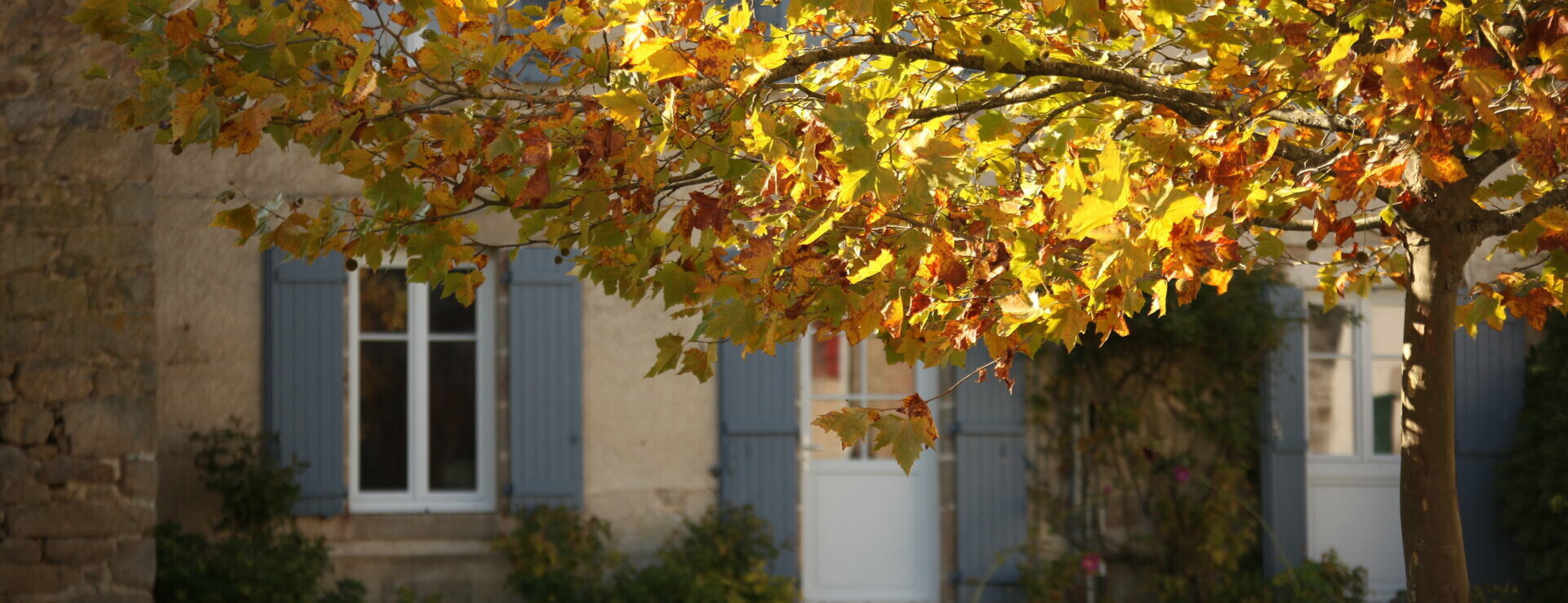 Mairie de Saint Yreix Sous Aixe dans le 87